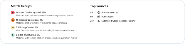 Turnitin Match Groups and Top Sources summary